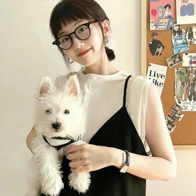 电视剧 分类封面